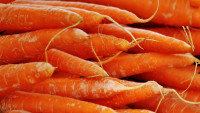 mrkev carrots